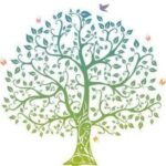 Olive Branch Logo, The Olive Branch Wellness Centre