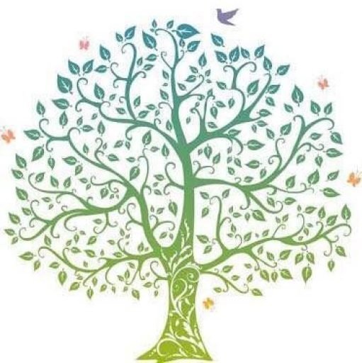 Olive Branch Logo, The Olive Branch Wellness Centre